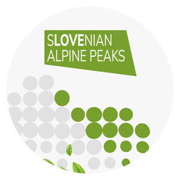 Slovenian Alpine Peaks