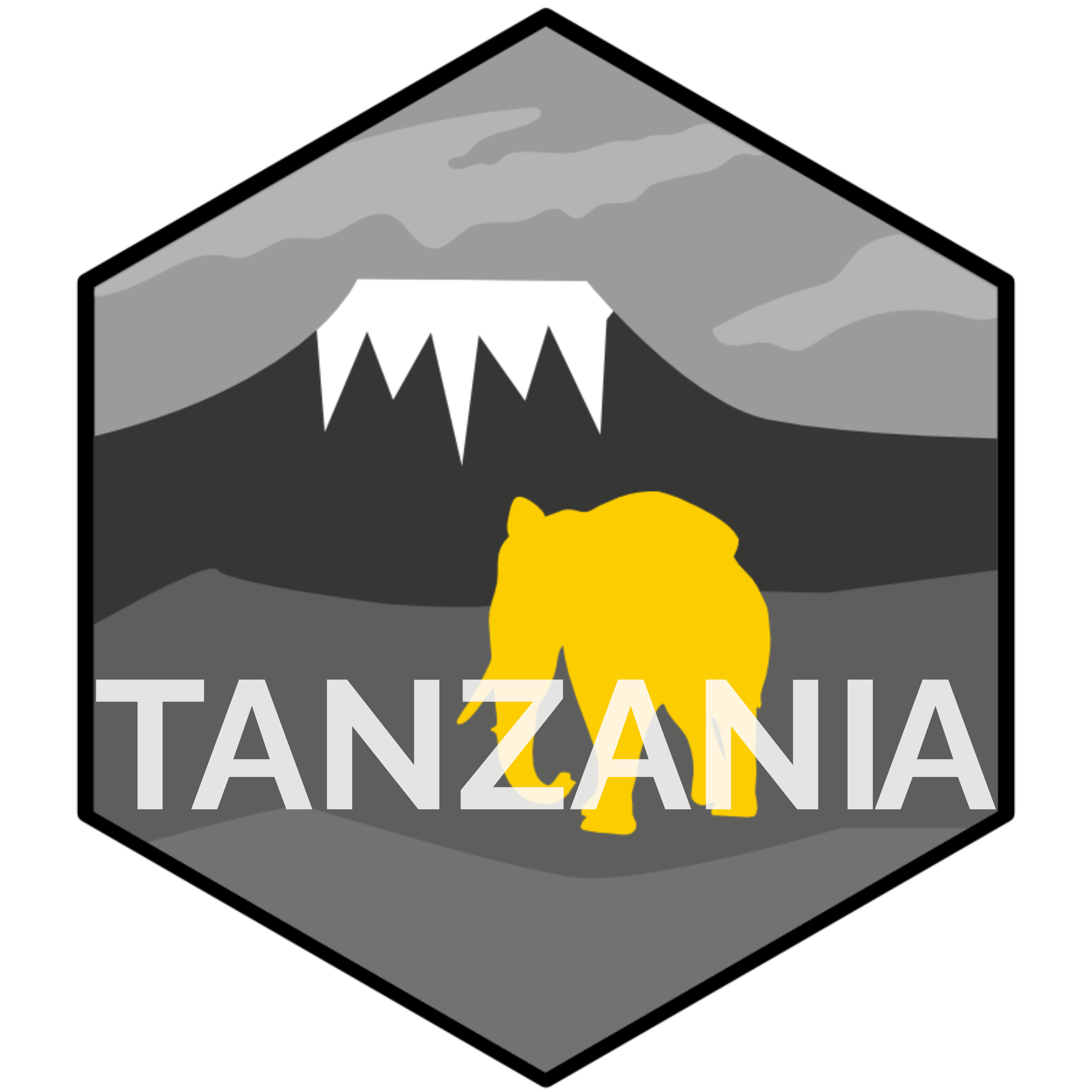 FEEL THE TANZANIAN ATMOSPHERE